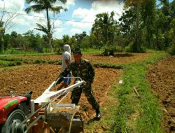 Babinsa Desa Rubaru Koramil 0827/13 Bantu Siapkan Lahan