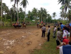 Anggota Koramil 0827/18 Kangean Turut Sukseskan Lomba Karapan Kerbau