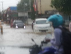 Sumenep Hujan Lebat, Tejadi Genangan Air dan Pohon Tumbang