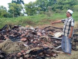 Suhu Politik PAW Desa Gunung Maddah Memanas, Kandang Sapi Ludes Terbakar