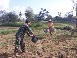 Babinsa Koramil 0827/10 Ambunten Bantu Petani Siram Tanaman Cabai