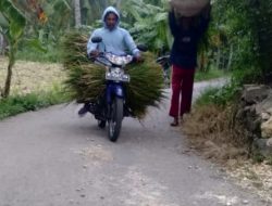 Proyek Peningkatan Jalan Desa Sentol Laok Diduga Asal-Asalan, Warga Menyoal