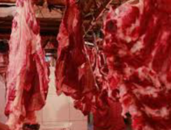 Konsumsi Daging Di Sumenep Akan Mengalami Peningkatan