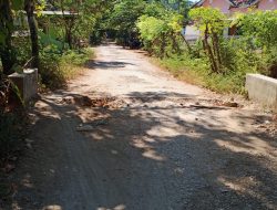 Aneh! Akses Jalan Kabupaten Desa Padike Rusak Parah, Luput Perhatian Camat