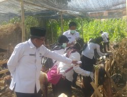 TIM DKPP Sumenep Melakukan Sidak Pangkalan Hewan Kurban