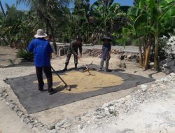 Pengeringan Gabah oleh Babinsa Koramil 0827/06 Saronggi