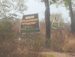 Lahan Kawasan Perhutani Petak 49 di Sumenep Rencana Akan “Dibangun Perumahan”