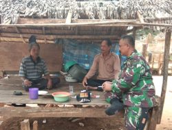 Warga Resah Tanaman Singkong Dimakan Kera, Babinsa Koramil 0827/19 Sapeken Cari Solusi