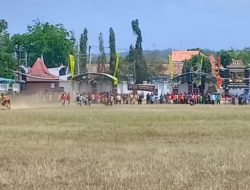 Seleksi Lomba Kerapan Sapi di Sumenep 6 Besar Bakal Ikut Piala Presiden
