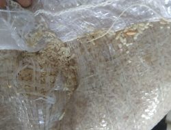 Kiriman Beras ke E-Warong Giliraje Jelek, Supplier Nyatakan Wajar?