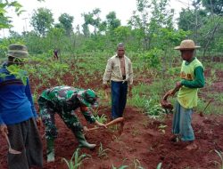 Re-Orientasi Babinsa Koramil Terhadap Warga Desa Bluto