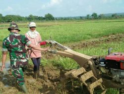 Banbinsa Koramil 0827/01 Kota Pendampingan ke Petani
