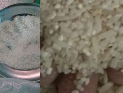 Supplier Sama, Keluhan Bantuan Beras BPNT Diwilayah Sumenep Jelek?