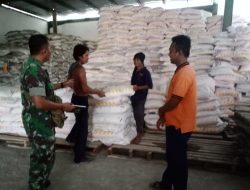 Babinsa Pakandangan Cek Pupuk Petrokimia