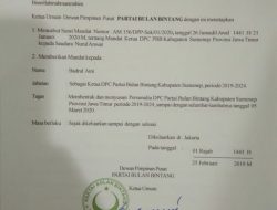 Ketua DPC PBB: Dukungan di Pilkada Masih Melihat Survei Kandidat