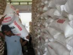 2020, Kuota Pupuk Bersubsidi Berkurang Hingga 50 Persen