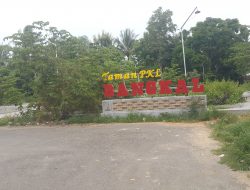 Taman PKL Bangkal Mangkrak, Kondisi Layaknya Hutan