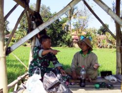Babinsa 0827 Lenteng Dampingi Para Petani