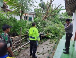 Angin Puting Beliung Nyisir Desa Cangkreng dan Meddelan