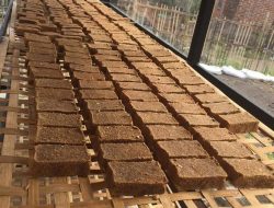 Aroma Khas Terasi Pasongsongan Sumenep, Bebas Residu Kimia