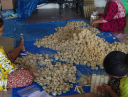 Beragam Makanan Khas Sumenep Camilan Tradisional Rengginang Lorjuk