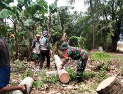 Babinsa Koramil 0827/01 Kota, Kerja Bakti Tebang Pohon