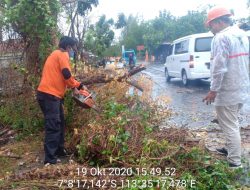 Diterjang Angin, Pohon Tumbang dan Tiang Listrik di Pamekasan