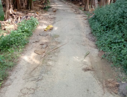 Rusaknya Pekerjaan Jalan Aspal di Desa Larangan Pereng, Pihak Desa Terkesan Saling “Lempar”