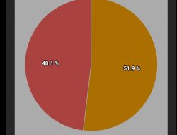 Sirekap Menangkan Fauzi-Eva, Siap Melengnggang Menuju Pendopo
