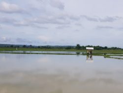 Fenomena Banjir Sumenep, Ini Faktor Penyebabnya