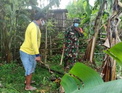 Menjaga Kelestarian Alam, Babinsa Saronggi  Tanam Pohon Pisang