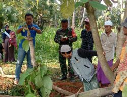 Warga Nyabakan Timur Dibuat Panik, Nahriya Jatuh Kejurang