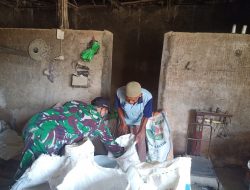 Jelang Idul Fitri 1442 H, Babinsa Koramil 0827/16 Gapura Pantau Harga Beras di Penggilingan Padi