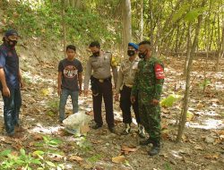 Warga Sapudi Dikejutkan Penemuan Bayi Dalam Kardus di Hutan