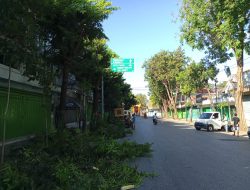 Tindakan DLH Tak Kelihatannya Rambu Rambu Jalan, Dishub Dipertanyakan