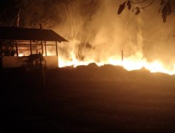 Pabrik Penyulingan Kayu Putih Terbakar