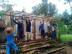 Sejaterahkan Warga Tidak Mampu, Babinsa Jajaran Koramil 0827/15 Batu Putih Bantu Pasang Kayu Atap Rumah