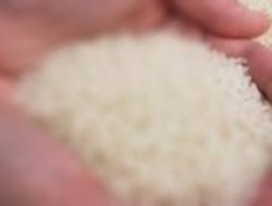 ASN Ngaku Terima Beras Patah Patah, Kualitas Disoal