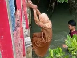 Saat Foto-Foto di Wisata Mangrove Talang Siring, Seorang Perempuan Terjatuh ke Laut