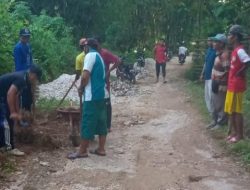 Bulan Suci Ramadhan, Pemdes Paseraman Kegiatan Kerja Bakti Bersihkan Jalan Dusun