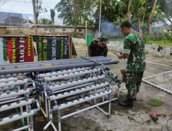 Kompak, Anggota Staf Teritorial Kodim 0827/Sumenep Belajar Bersama Bertani Hidroponik
