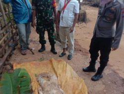 Warga Temukan Mayat tinggal Paha Dipinggir Pantai Kangean