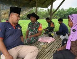 Anjangsana ke Sawah, Babinsa Rubaru Bantu Usir Hama Burung