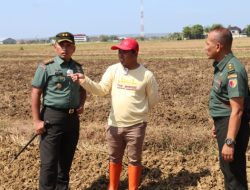 Dandim Tinjau Penanaman Jagung di Patean, Kades Siapkan Lahan 10 Hektar