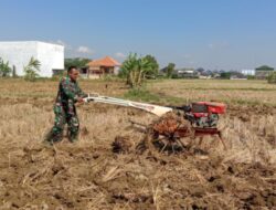 Babinsa Bantu Siapkan Bajak Lahan Tanam Jagung Silase