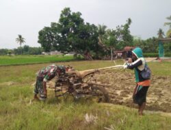 Babinsa Bantu Petani Bajak Sawah di Banjar Barat
