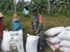 TNI di Pragaan Bantu Petani Panen Padi Perdana