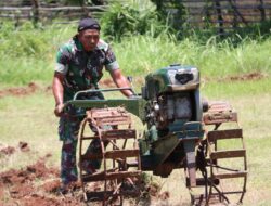 Garap 1 Hektar Lahan Tidur, Babinsa Inginkan Pulau Giligenting Jadikan Swasembada Pangan