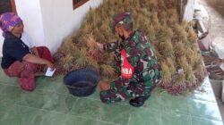Motivasi Babinsa Kepada Petani Bawang Merah di Desa Binaan