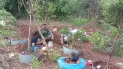 Komsos TNI Membangun Keakraban dengan Penggiat Bonsai